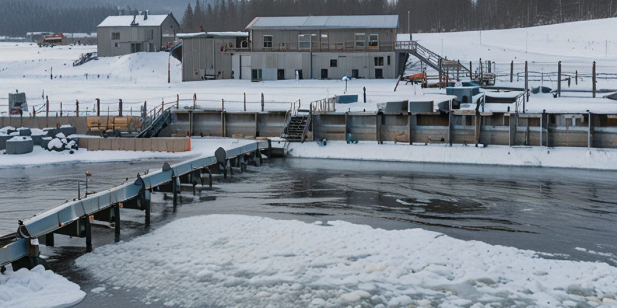 Frozen Salmon Processing Plant Project Report 2024: Machinery, Raw Materials and Investment Opportunities
