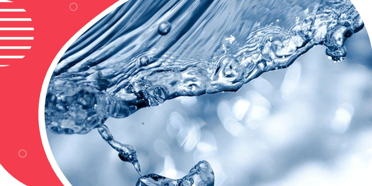 Ultrapure Water Market 2024-2032's Market Trendsetters