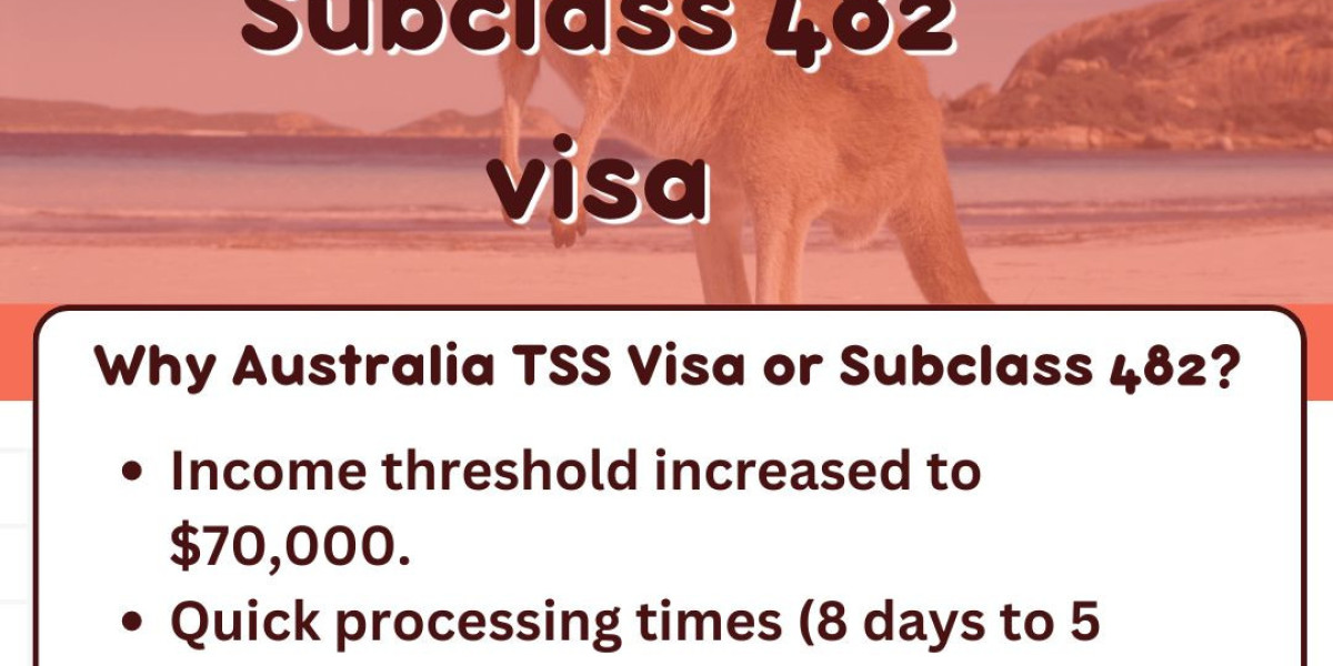 A Comprehensive Guide to the Subclass 482 Visa