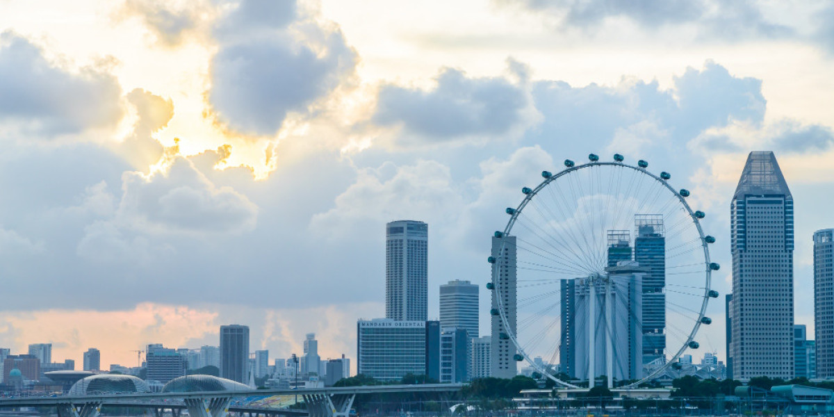 Guide to Start a Sole Business in Singapore