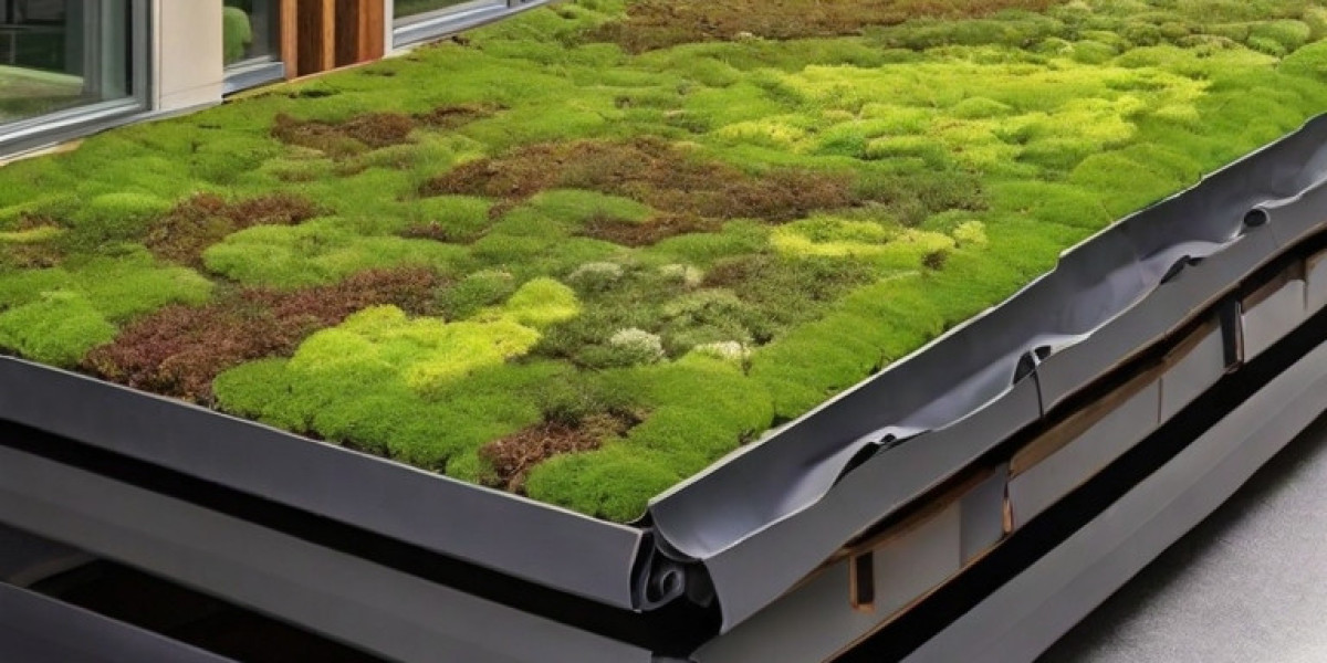 Green (Living) Roof Manufacturing Plant Project Report 2024: Cost Analysis and Raw Material Requirements