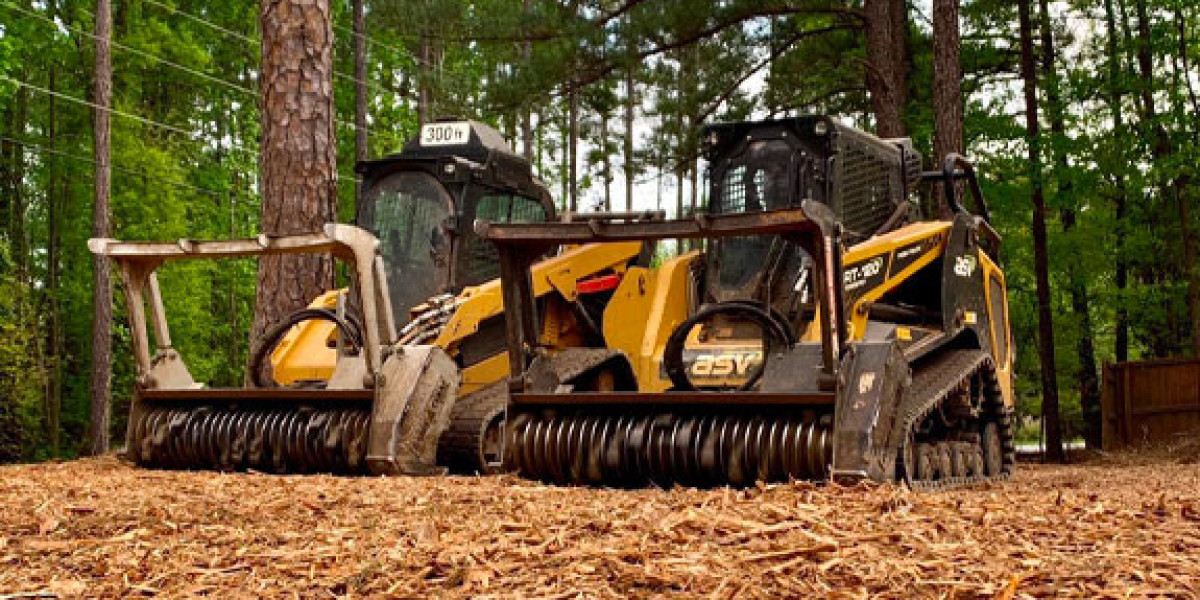 Expert Forestry Mulching in Rome & Comprehensive Timber Tree Service USA - WC Timber