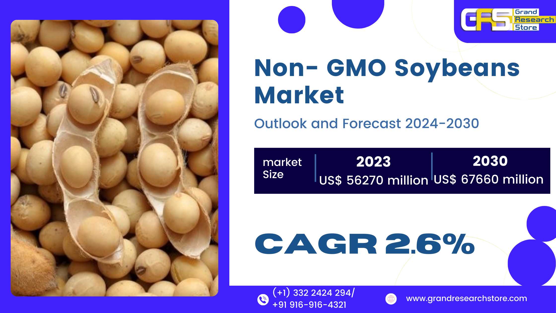 Non- GMO Soybeans Market, Global Outlook and Forec..