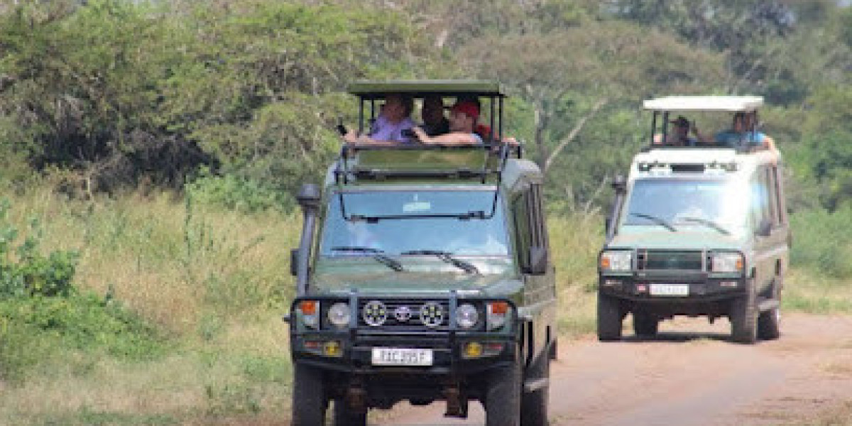 Discover Rwanda with Our Unique and Special Rwanda Safaris Packages