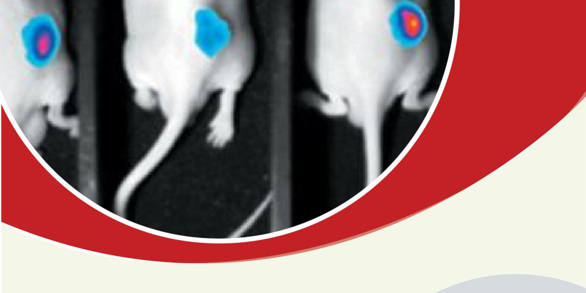 Small Animal Imaging (In-Vivo) Market Dynamics: Key Players and Growth Trajectories 2024-2032