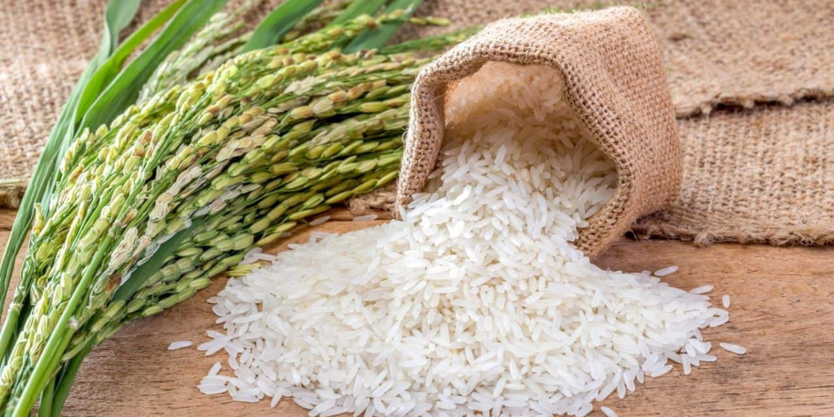 Setting up a Rice Processing Plant Project Report | Industry Trends and Raw Materials