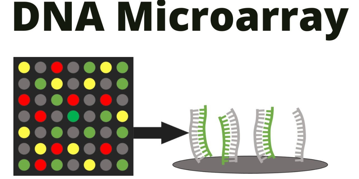 What is the expected worth of the DNA microarray market in 2024?