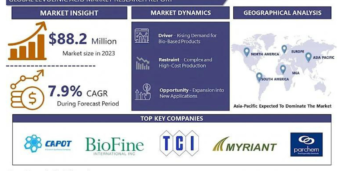 Levulinic Acid Market: 2032 Business Insights with Key Trend Analysis