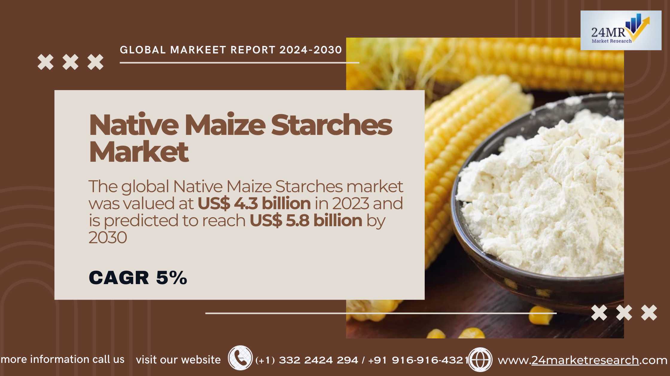 Native Maize Starches Market, Global Outlook and F..