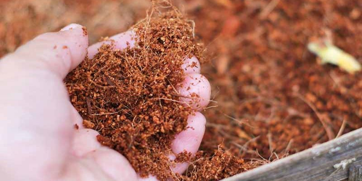 Boost our Garden with Coconut Coir: The Ultimate Guide to Bulk Coco Coir