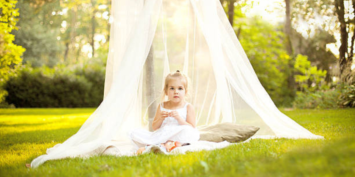 "Baby Mosquito Nets: Essential Features Every Parent Should Know"
