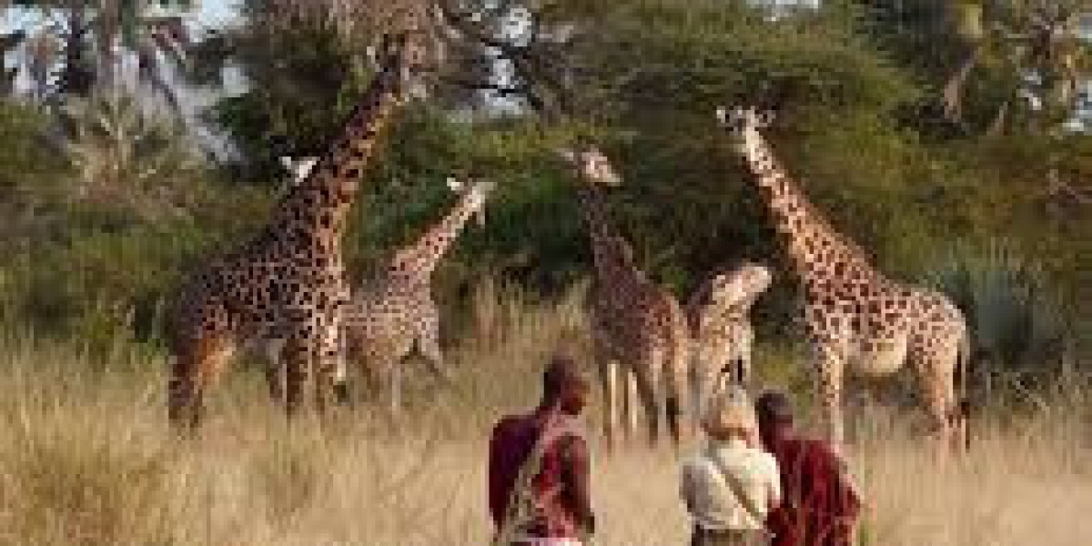 Safari Splendor: Explore Masai Mara with Vencha Travel