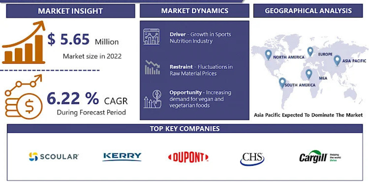 Plant Protein Ingredients Market Size, Share, Trends, Demand, Growth, Challenges and Competitive Analysis 2032 | IMR