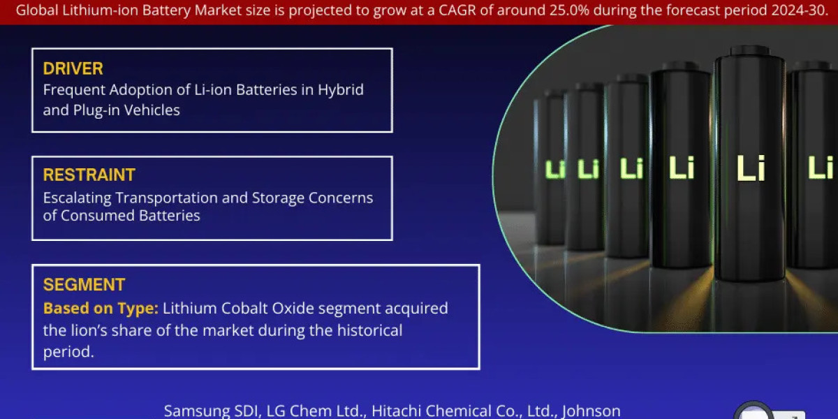 Lithium Ion Battery Market Investment Opportunities