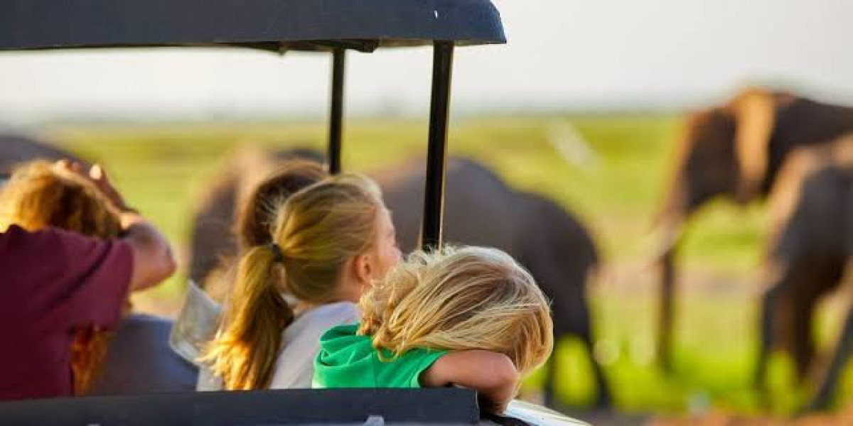 Family Safaris in Africa – Things to Consider When Traveling with Kids