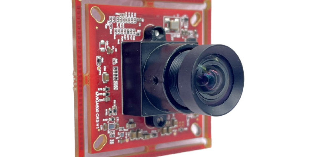 Monitoring Environmental Changes with AR0234 MIPI Camera