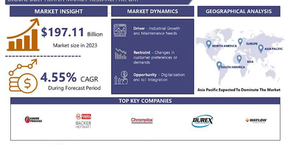 Bolt Heater Market Insights and Growth Opportunities in 2024: An Extensive Analysis