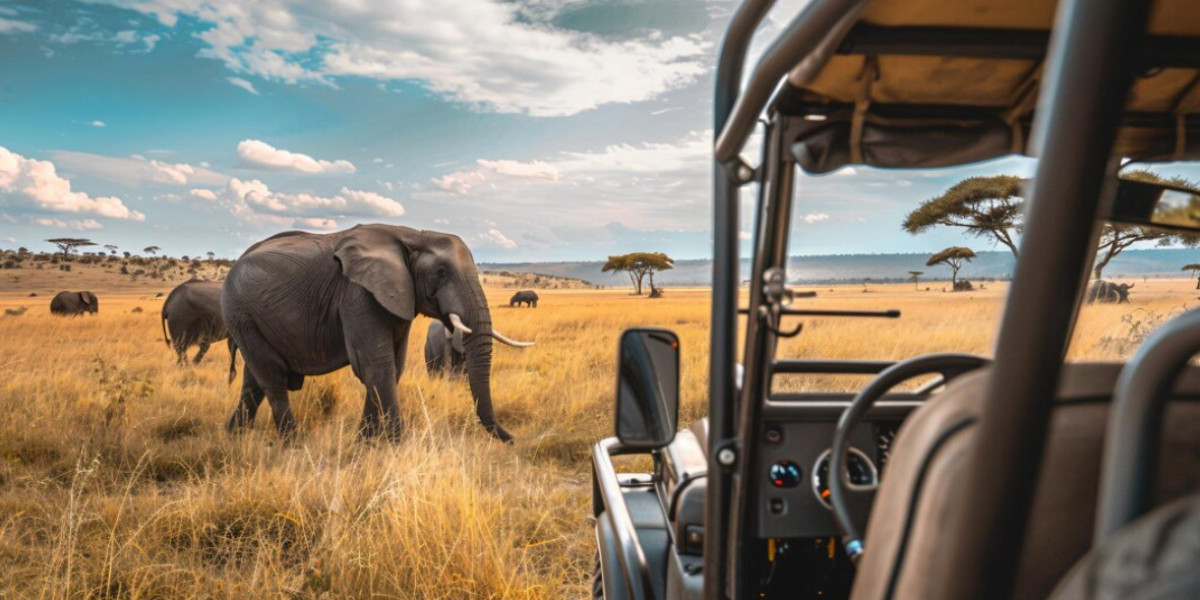 Vencha Travel Offers Personalized Travel Planning and Luxury Safari Packages Throughout East Africa