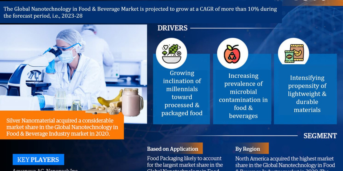 Global Nanotechnology in Food & Beverage Market Gears Up for Impressive 10% CAGR Surge in 2023-2028.