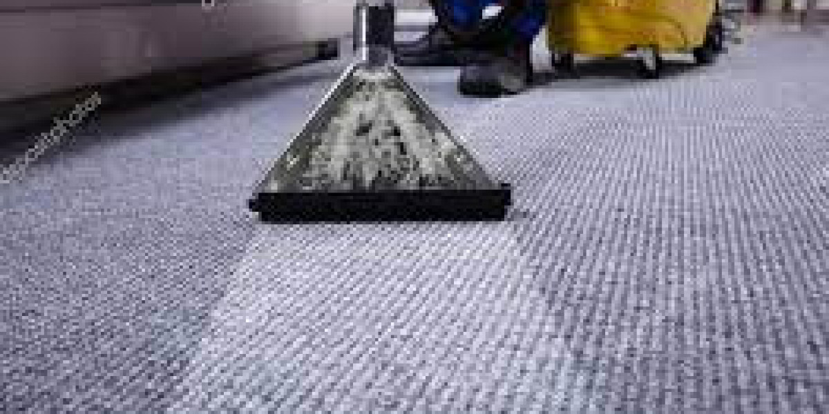 Revitalize Your Home: The Visual Benefits of Professional Carpet Cleaning