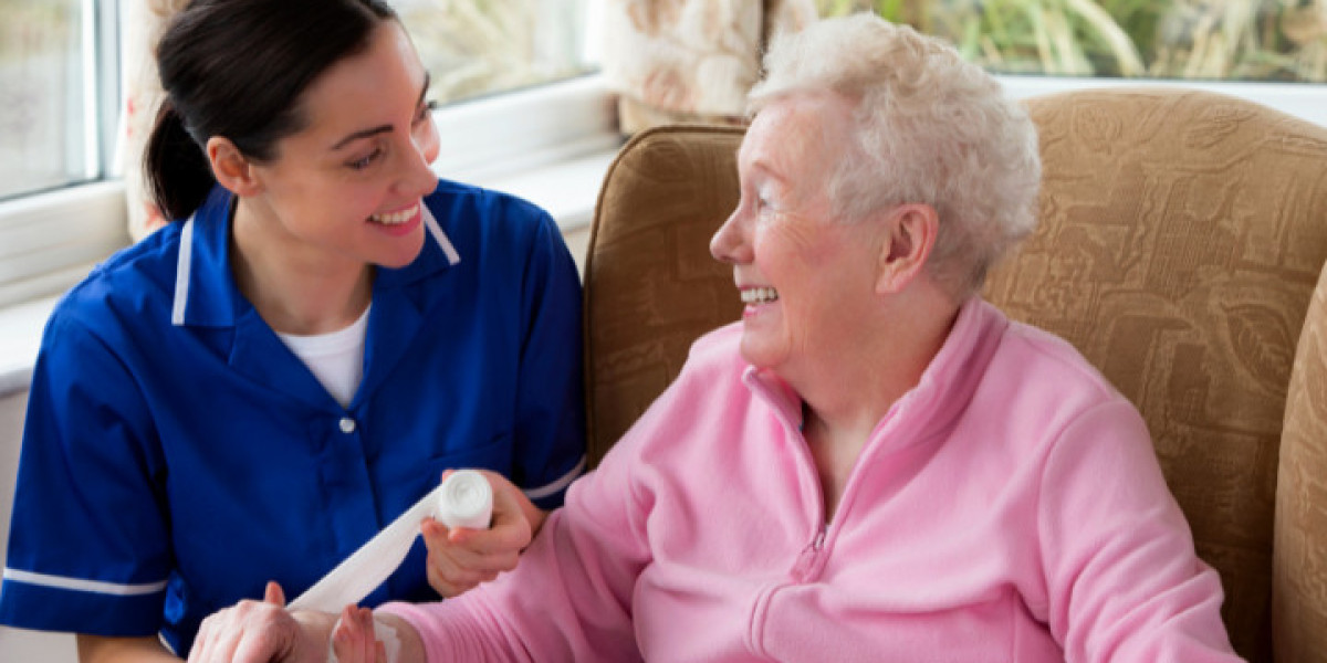 What Are Home and Community Care Support Services?