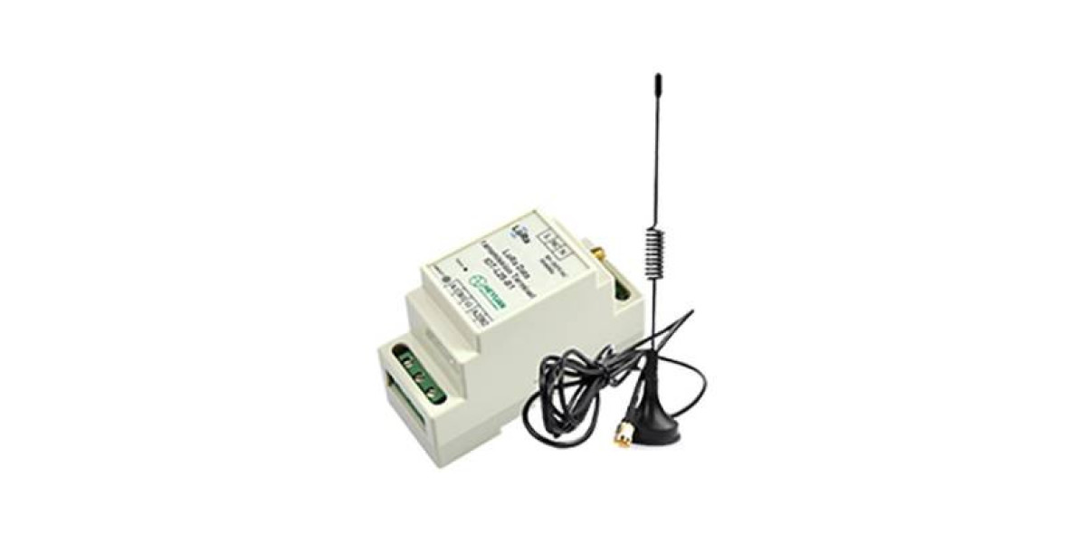 LoRa Data Transmission Terminal Market Overview, Applications and Industry Forecast Report 2033