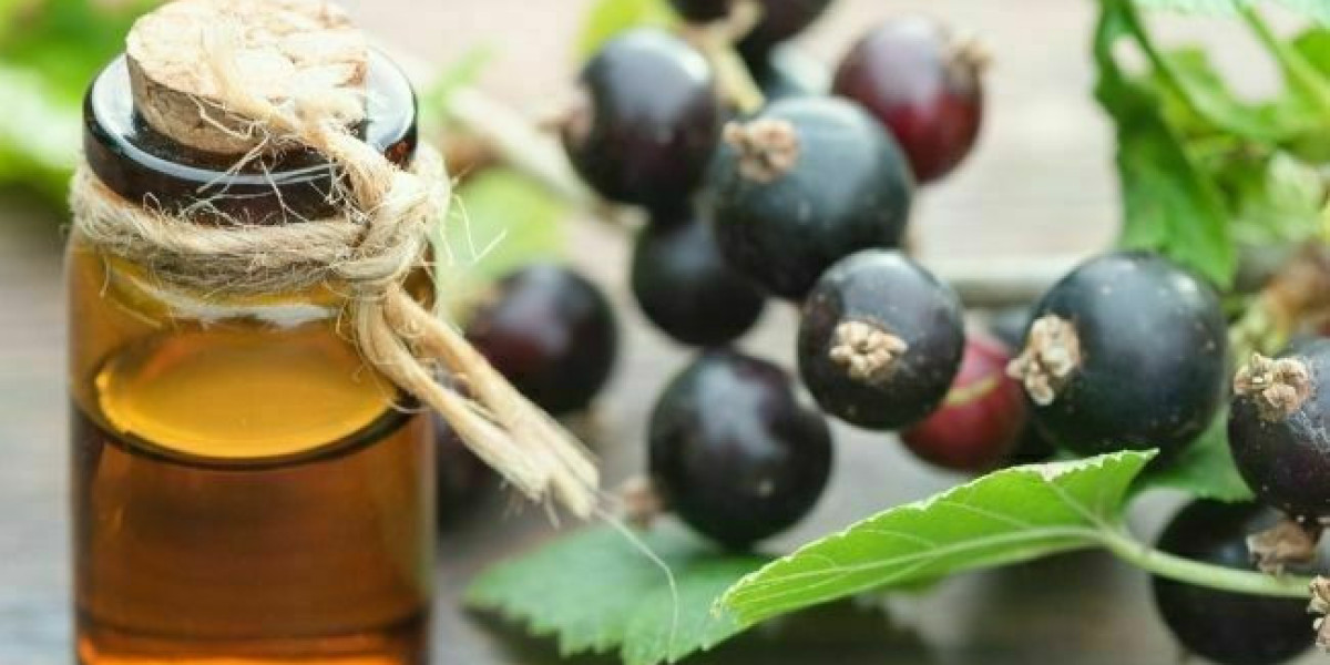 ✍Blackcurrant Seed Oil Market: Size, Growth, Future Demand, and Regional Insights till 2032