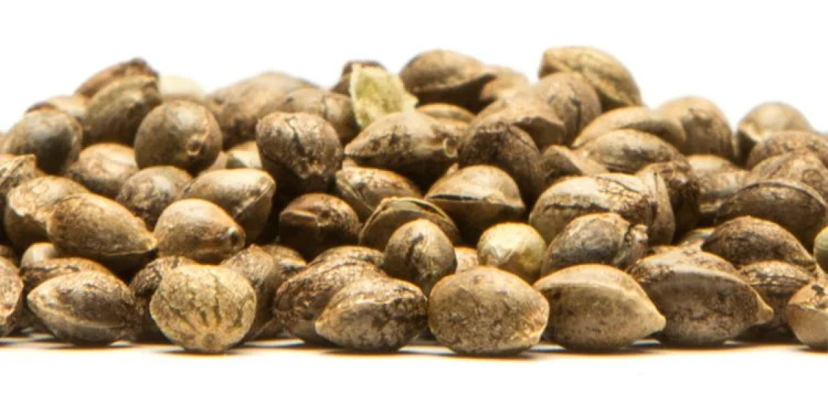 Finding the Best Place to Order Cannabis Seeds: Why The Clone Conservatory Should Be Your First Choice