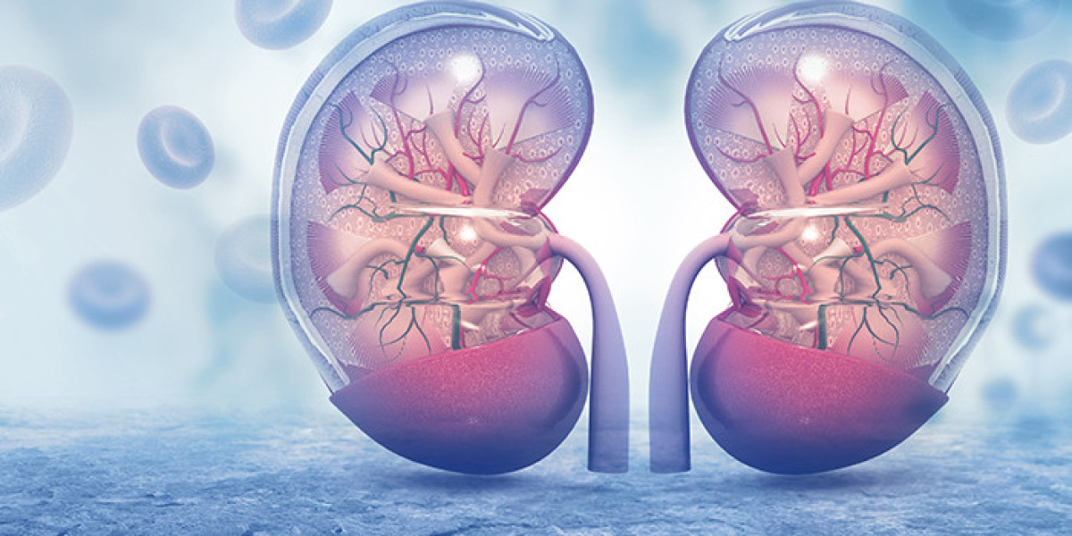 Peritoneal Dialysis Market Outlook Overview and Forecast 2024-2031