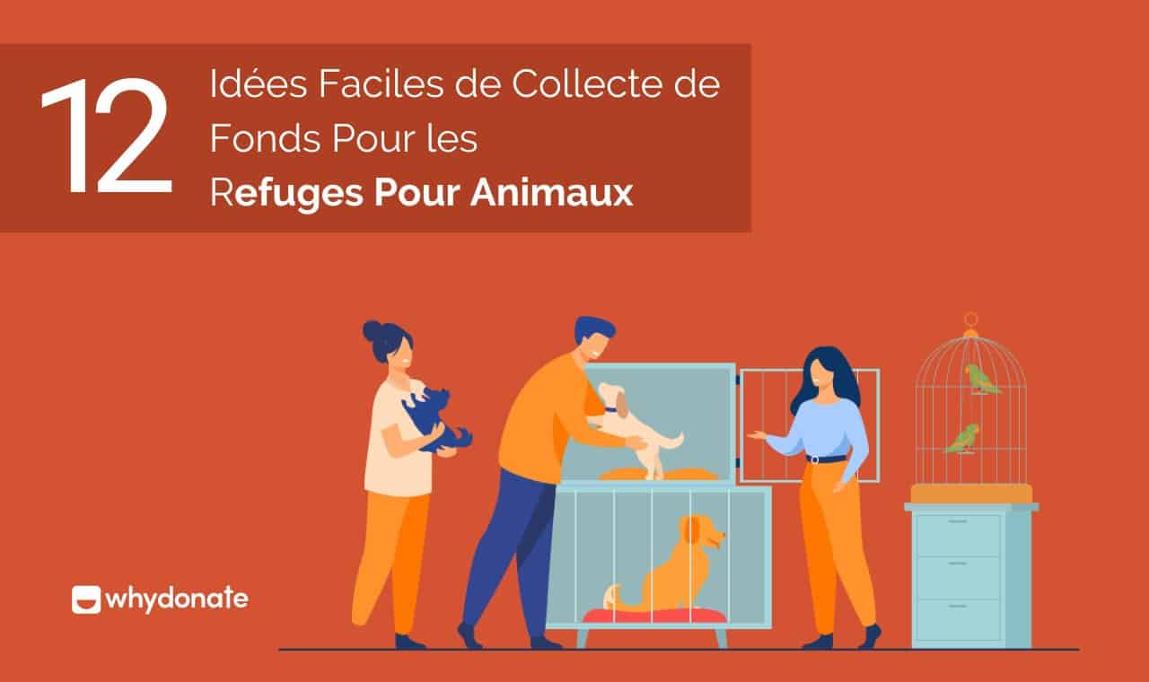 12 Idées De Collecte De Fonds Pour Les Refuges Pour Animaux En France | Sauvetage Des Animaux