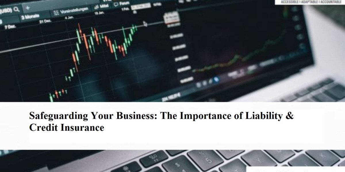 Safeguarding Your Business: The Importance of Liability & Credit Insurance