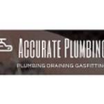 Accurate plumbing profile picture