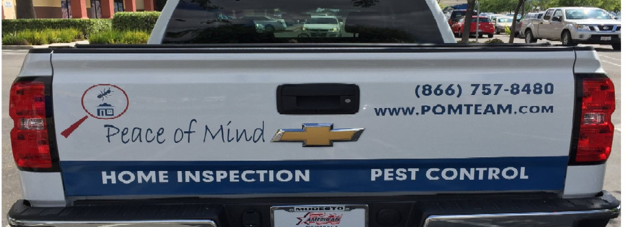 Peace Peace of Mind Pest Control Cover Image