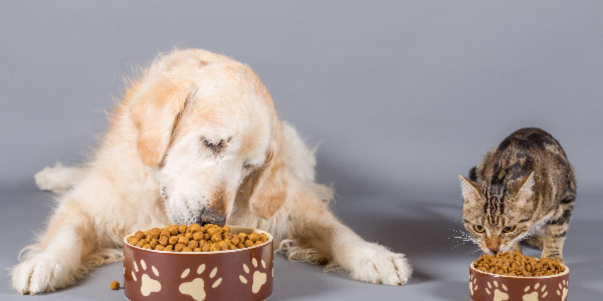 Pet Food Manufacturing Plant: Detailed Project Report, Equipment Needs, and Cost Breakdown