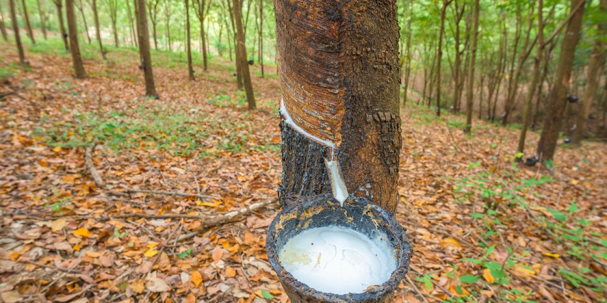 Natural Rubber Production Cost Analysis Report 2024: Profit Margins, Operating Cost and Capital Investment