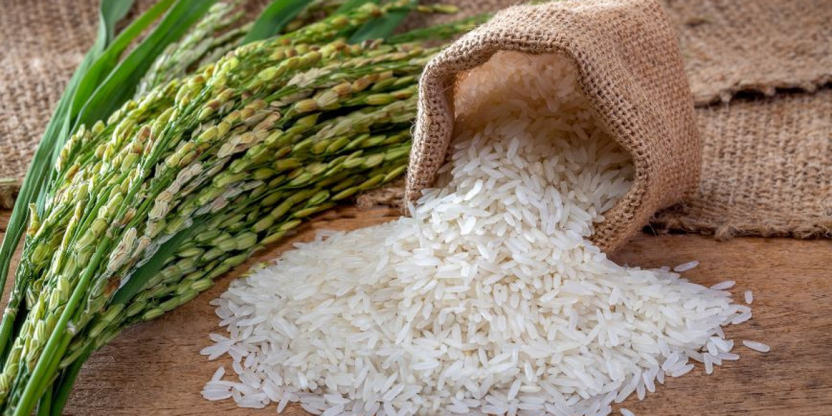 El Mercado de Arroz: Perspectivas de Crecimiento y Tendencias Futuras