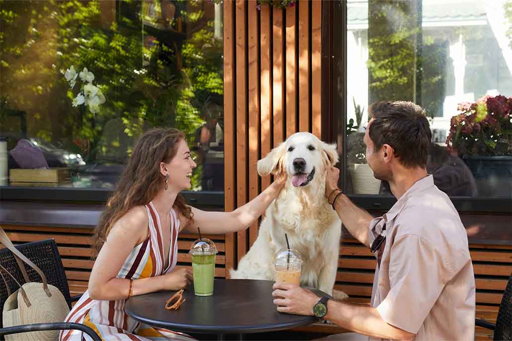 Discover Dog Friendly Patios in Hope, Cascades & Canyons - Tourism Hope Cascades and Canyons