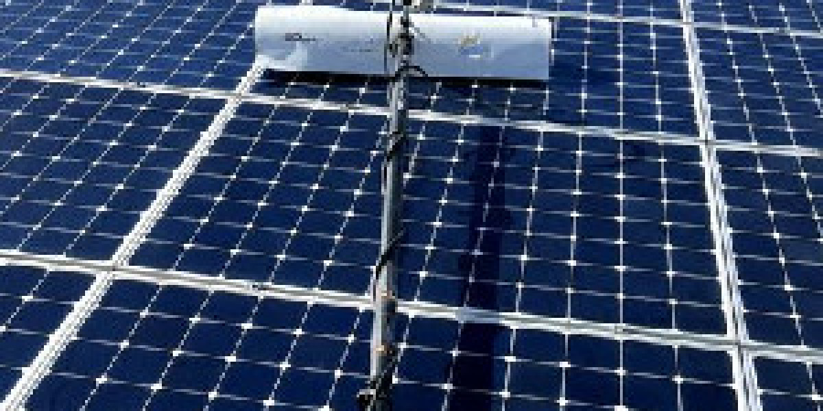 The Importance of Solar Panel Cleaning and Bird Proofing for Solar Systems in Fresno, Clovis, and Madera