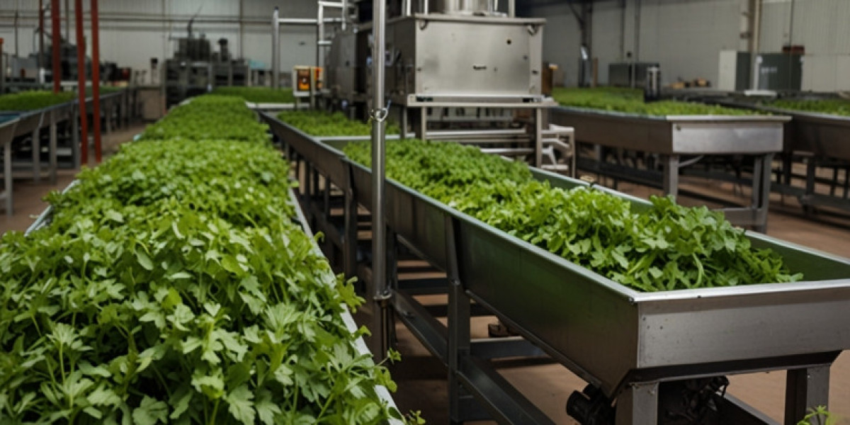 Cilantro Processing Plant Project Report 2024: Setup Cost, Machinery Requirements and Raw Materials