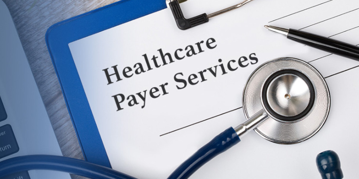 Global Healthcare Payer Services Market | Share | Size | Growth | Forecast | 2024 - 2032