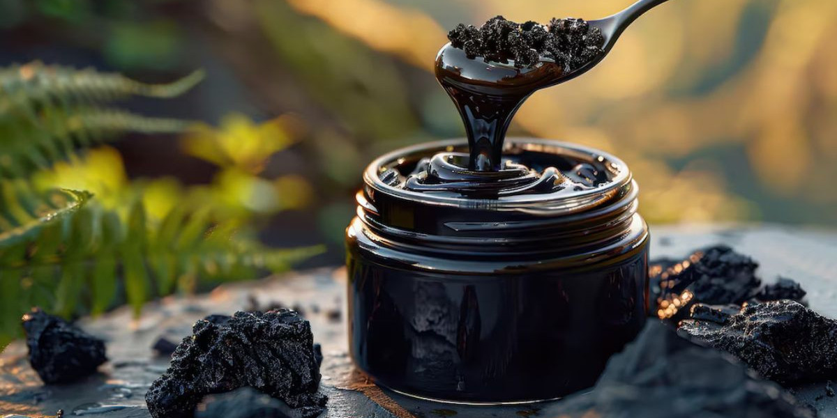 The Best-Kept Wellness Secret in Nature Himalayan Shilajit