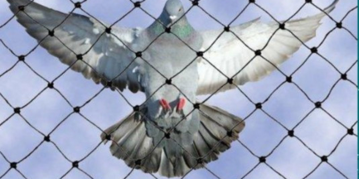 Plastic Pigeon Safety Nets Near Me | Professional Service