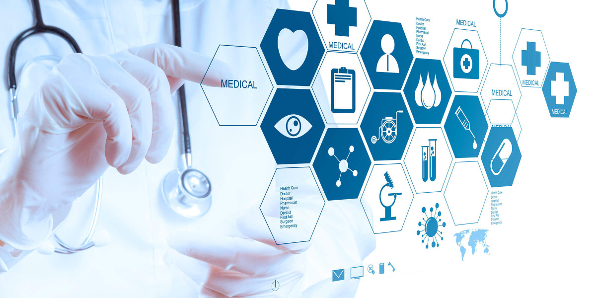 Healthcare IT Market Size, Share, Challenges and Growth Analysis Report 2033