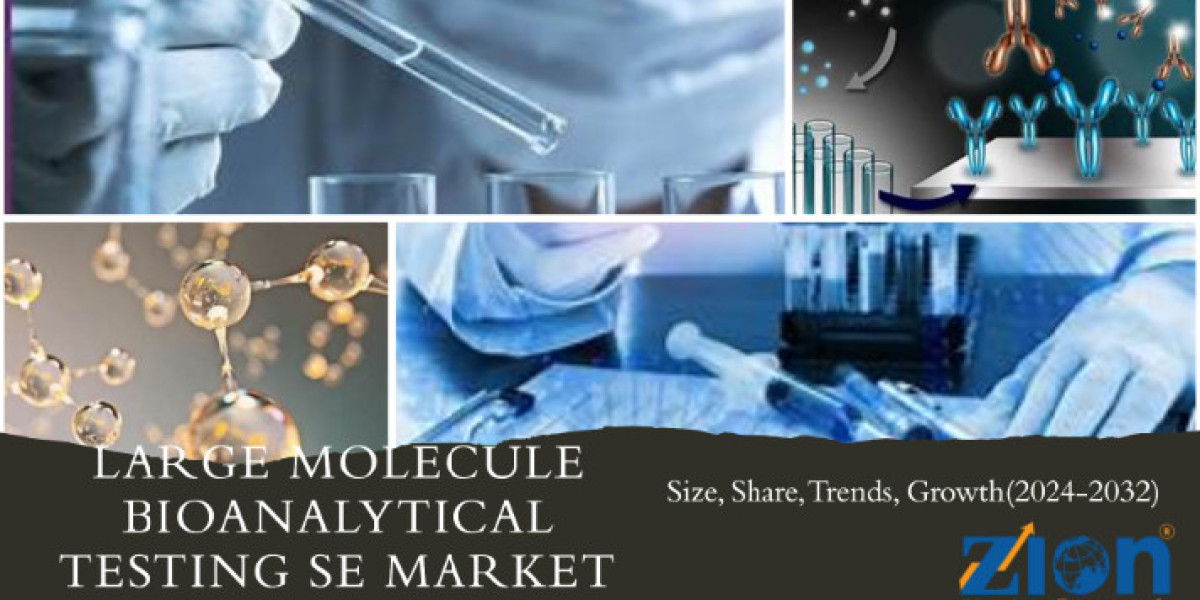 Large Molecule Bioanalytical Testing Service Market Size, Share, Growth & Forecast(2024–2032)