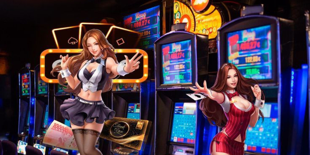 A Beginner’s Guide to Navigating the Live Casino Login Process