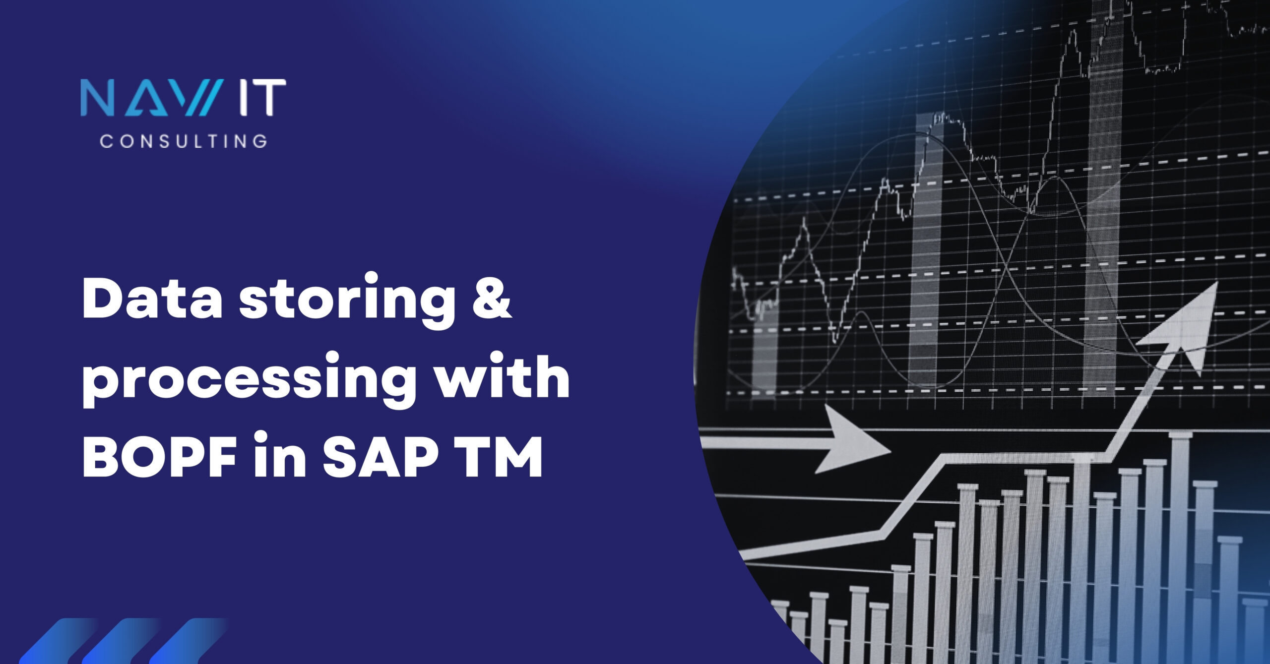 Efficient Data Storing and Processing with BOPF in SAP TM | NAV-IT