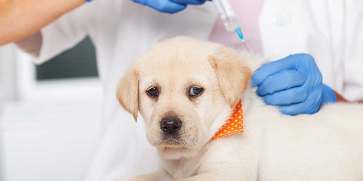 Animal Anti-rabies Vaccine Market Forecast and Outlook (2024-2031)