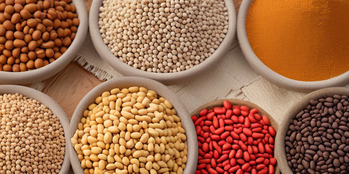 Pulses Processing Plant Project Report 2024: Setup Details, Capital Investments and Expenses