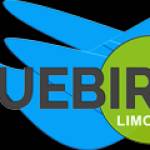 Bluebird Limo Inc