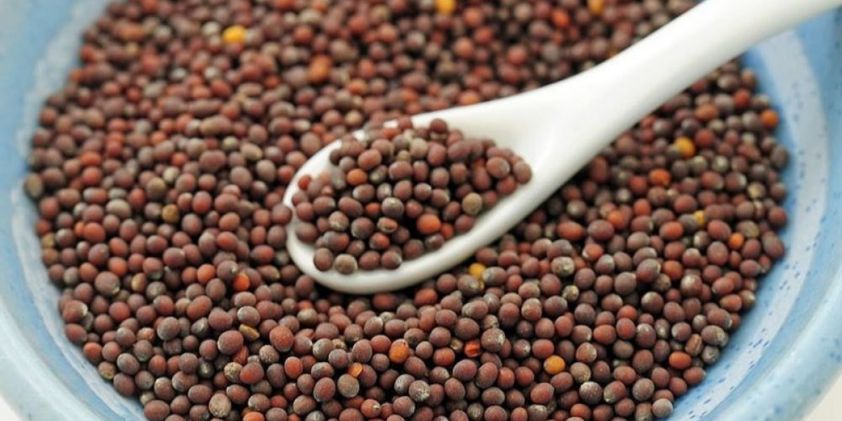 Detailed Project Report on Mustard Seed Processing Plant: Business Plan and Requirements